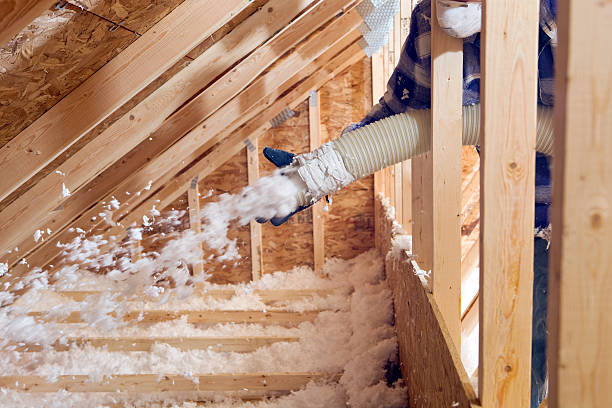  Century, FL Insulation Removal & Installation Pros